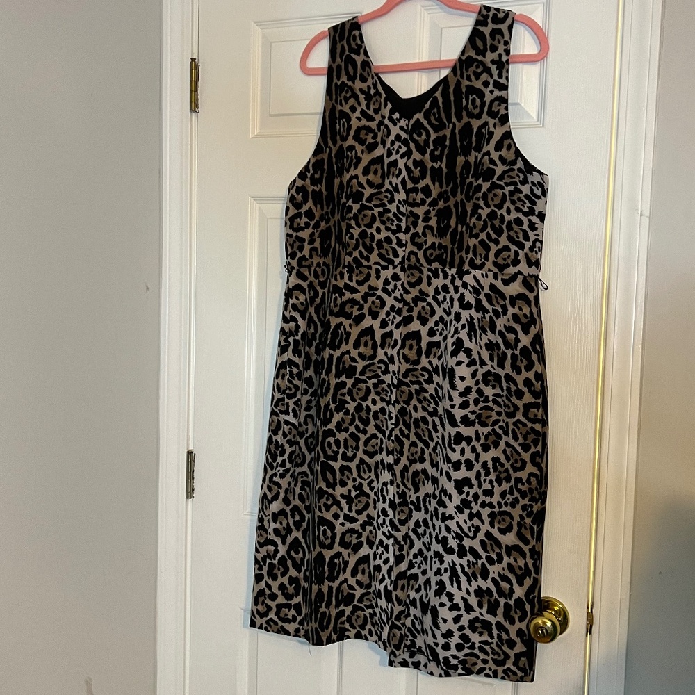 Leopard Print Dress - Picture 5 of 5